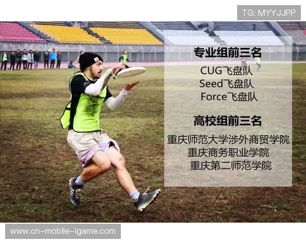 广州飞盘队团队协作表现的深入数据分析与探讨